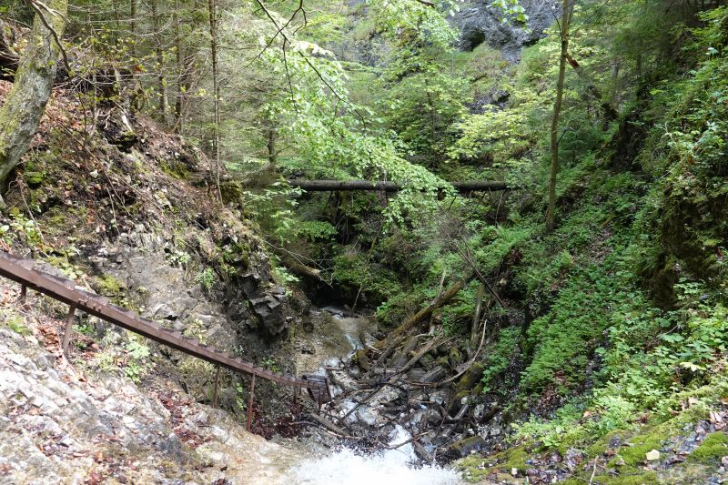 Viewing photos→2019→2019-05-31→179