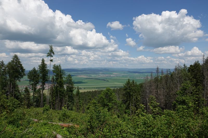 Viewing photos→2019→2019-05-31→185