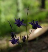 188.jpeg - 2019:06:03 12:01:43