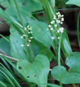 199.jpeg - 2019:06:03 12:21:25