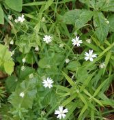 201.jpeg - 2019:06:03 12:23:26