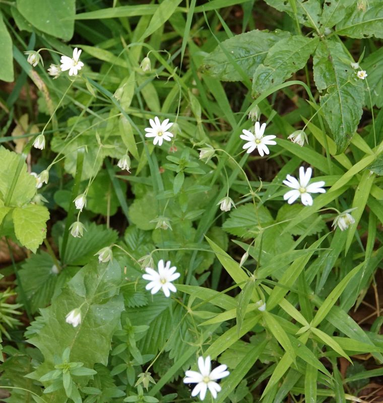 Viewing photos→2019→2019-05-31→201