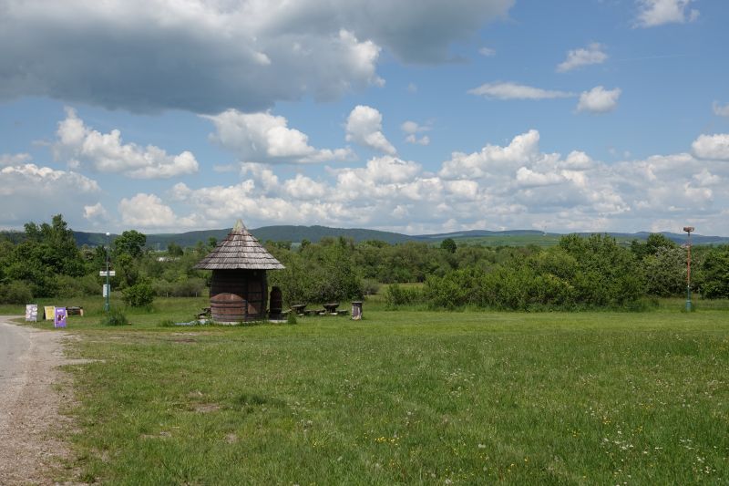 Viewing photos→2019→2019-05-31→202