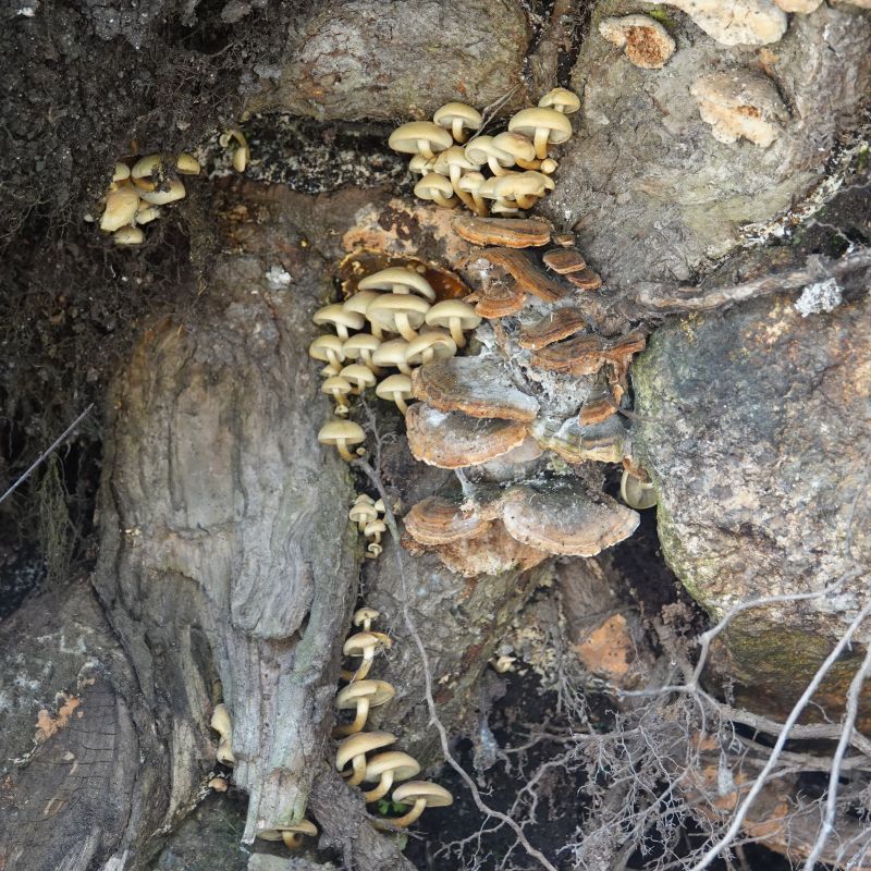 Viewing photos→2019→2019-05-31→209