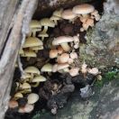 210.jpg - 2019:06:03 13:58:02