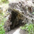 211.jpg - 2019:06:03 13:58:30