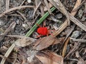 212.jpeg - 2019:06:03 14:24:10