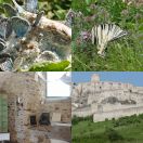 2019-06-04<br/>
<b>Spišský Hrad, Slovakia</b>
