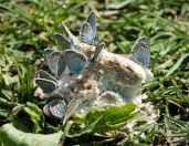 01.jpeg - 2019:06:04 09:53:23