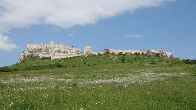 Viewing photos→2019→2019-06-04→43