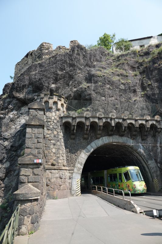 Viewing photos→2019→2019-06-05→12