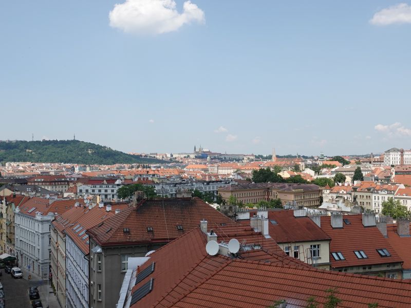 Viewing photos→2019→2019-06-05→18