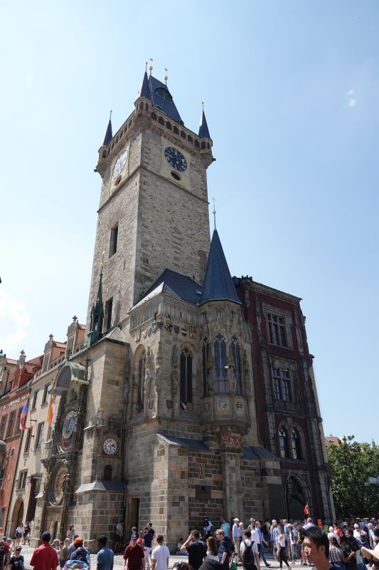 Viewing photos→2019→2019-06-05→25