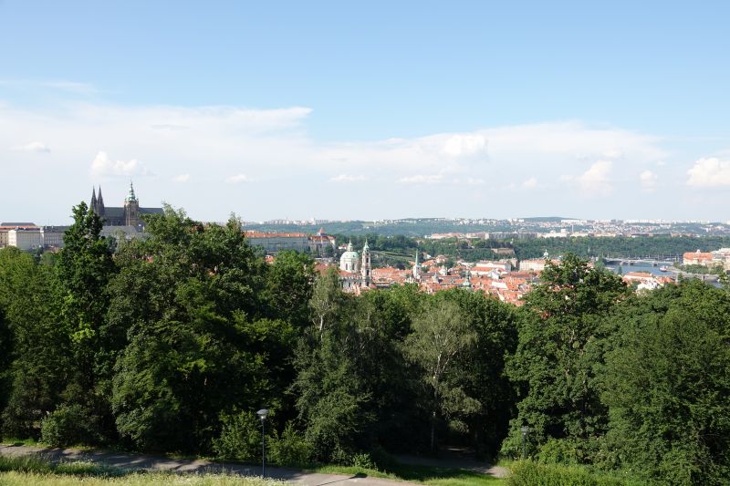 Viewing photos→2019→2019-06-05→44