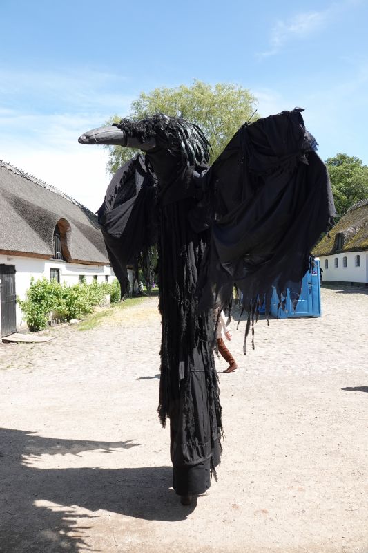 Viewing photos→2019→2019-06-16→13