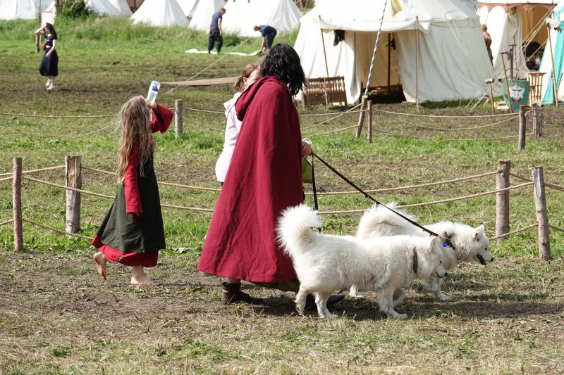 Viewing photos→2019→2019-06-16→29