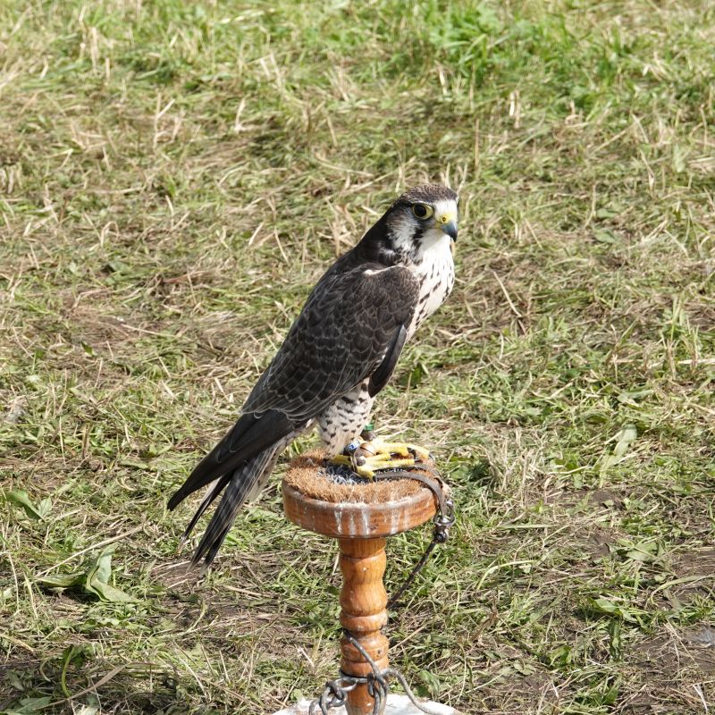 Viewing photos→2019→2019-06-16→30