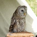 31.jpg - 2019:06:16 15:13:44