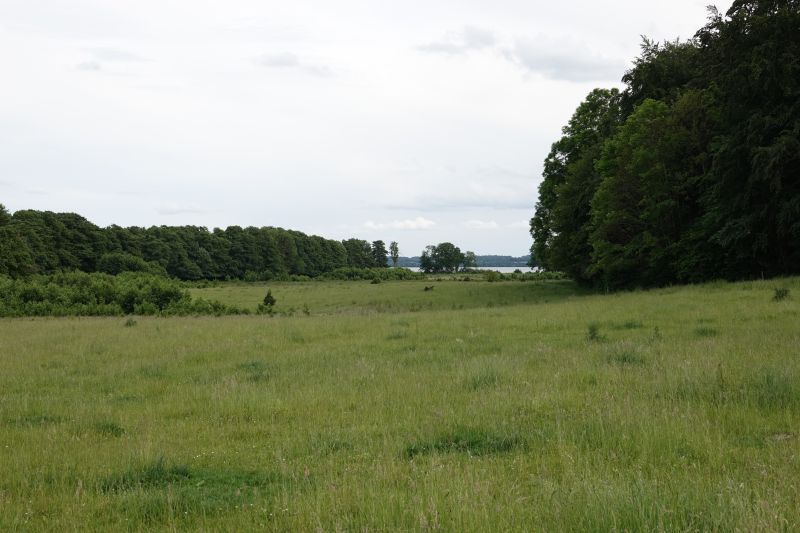 Viewing photos→2019→2019-06-16→34