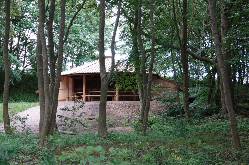 Viewing photos→2019→2019-06-16→35