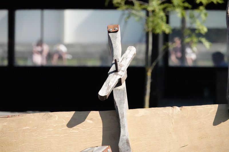 Viewing photos→2019→2019-08-25→03