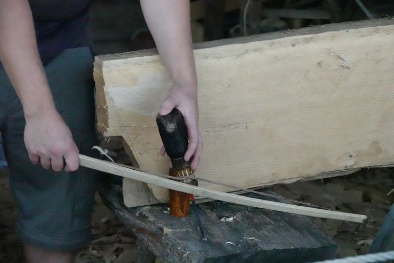 Viewing photos→2019→2019-08-25→08