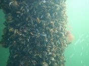 01.jpg - 2019:08:28 15:53:13