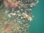 02.jpg - 2019:08:28 15:54:15