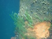 03.jpg - 2019:08:28 15:54:20