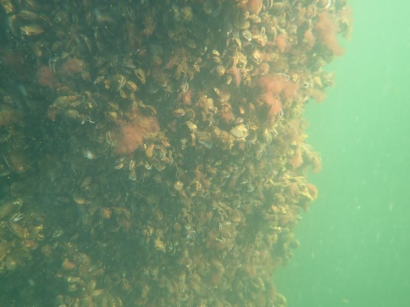 Viewing photos→2019→2019-08-28→07