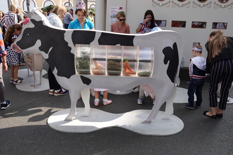 Viewing photos→2019→2019-09-07→032