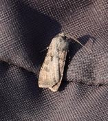 094.jpeg - 2019:09:08 12:25:19