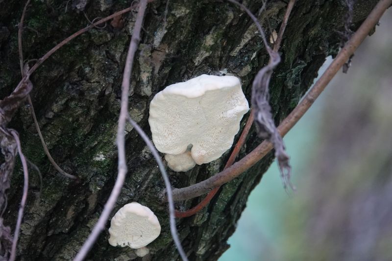 Viewing photos→2019→2019-09-07→116