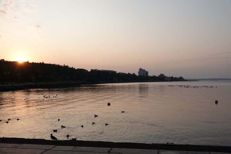 Viewing photos→2019→2019-09-09→28