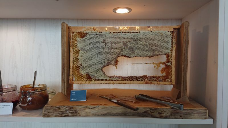 Viewing photos→2019→2019-09-09→41