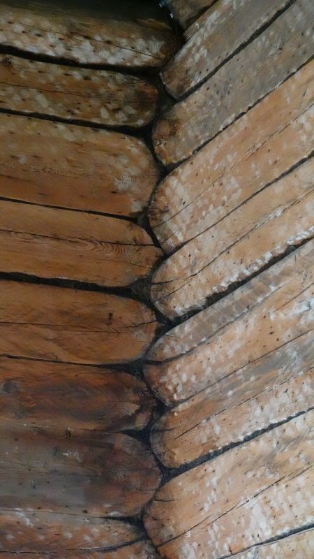 Viewing photos→2019→2019-09-11→021