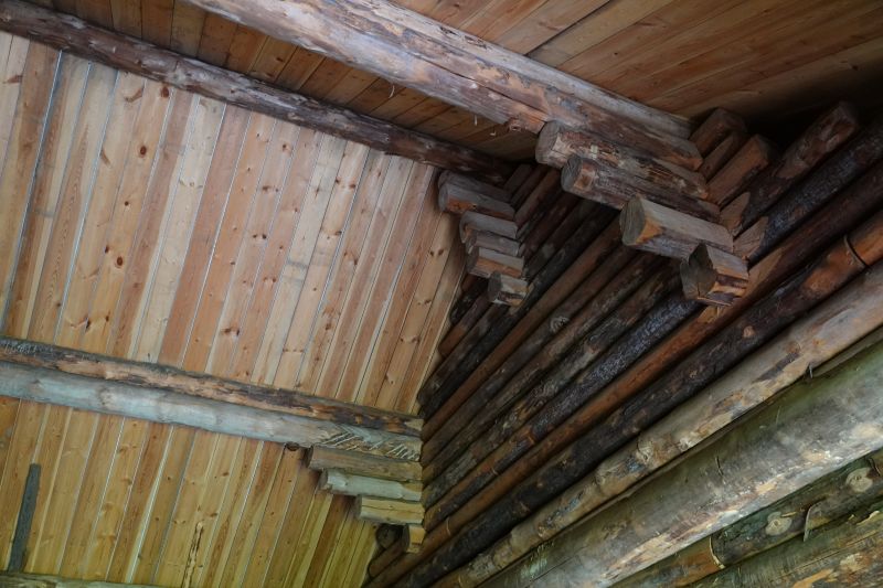 Viewing photos→2019→2019-09-11→090