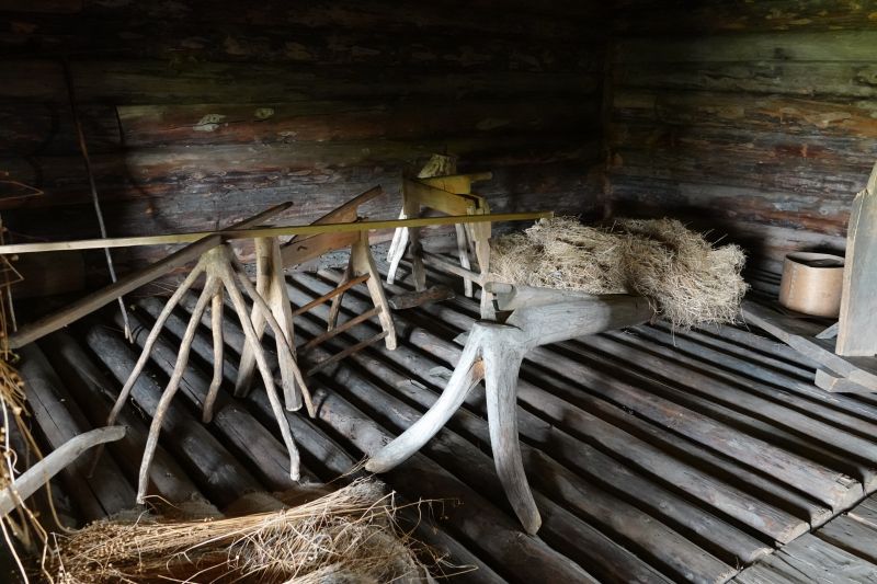 Viewing photos→2019→2019-09-11→091