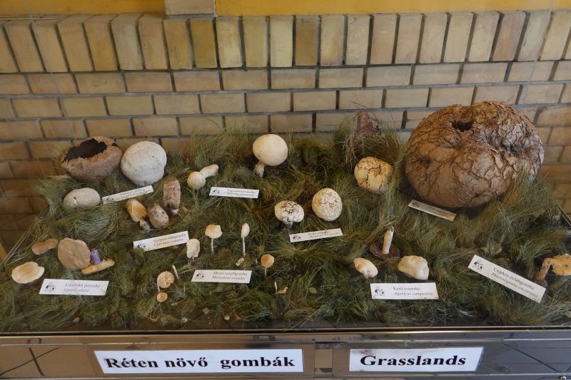 Viewing photos→2019→2019-09-26→016