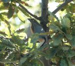 035.jpeg - 2019:09:26 10:24:20