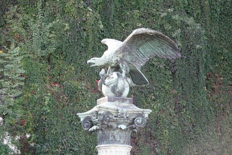 Viewing photos→2019→2019-09-26→042