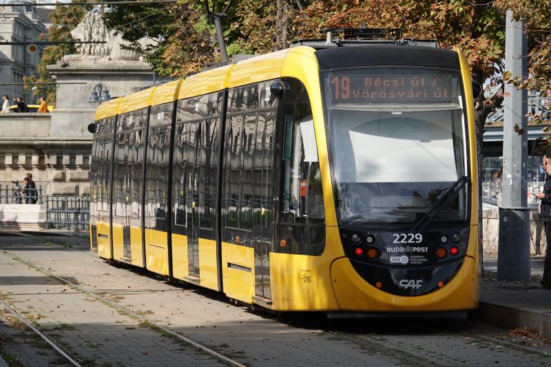 Viewing photos→2019→2019-09-26→051