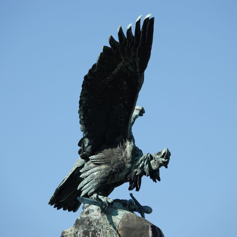 Viewing photos→2019→2019-09-26→064