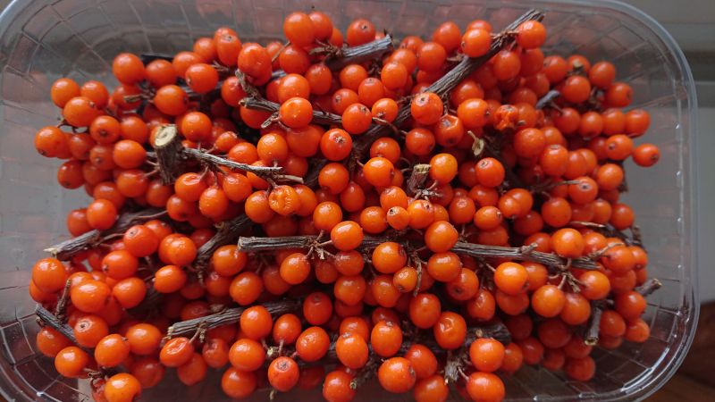 Viewing photos→2019→2019-09-28→01