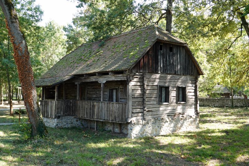 Viewing photos→2019→2019-09-28→73