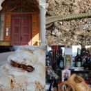 2019-09-29 - 2019-10-02<br/>
<b>Transylvania, Romania</b>
