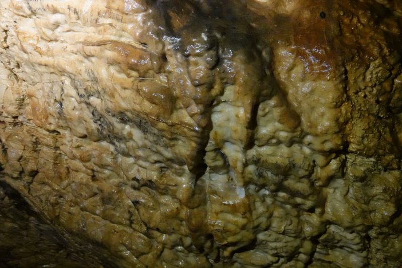 Viewing photos→2019→2019-09-29→015