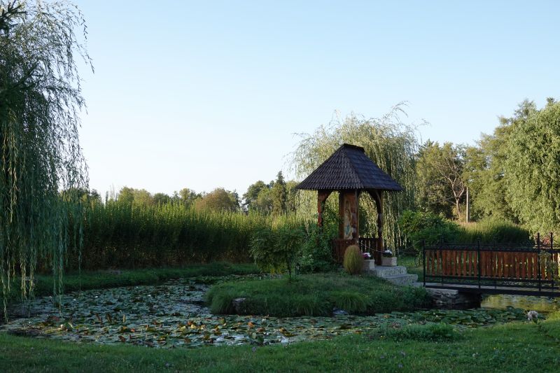 Viewing photos→2019→2019-09-29→032