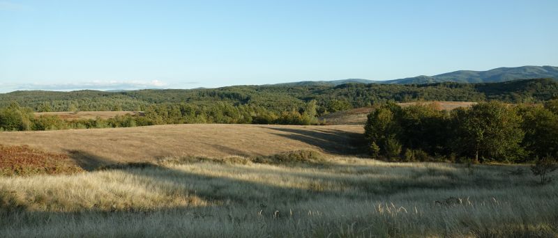 Viewing photos→2019→2019-09-29→034