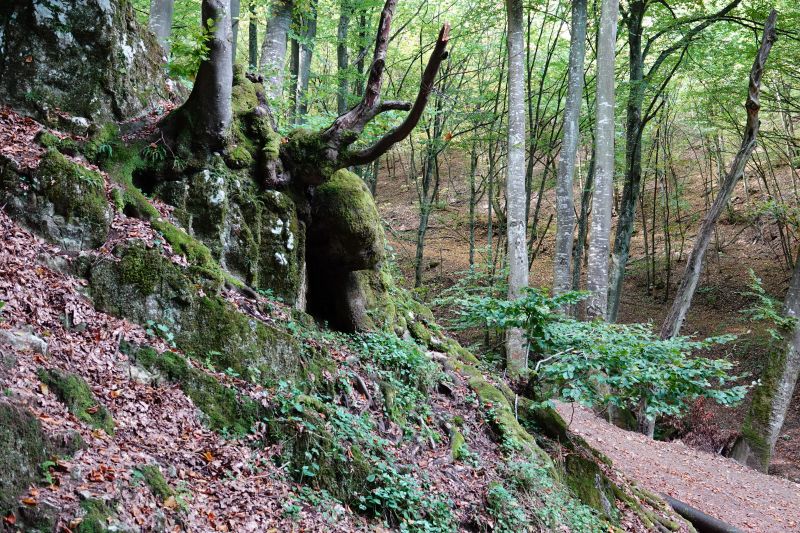 Viewing photos→2019→2019-09-29→074